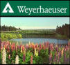 weyerhaeuser2.jpg (4161 bytes)